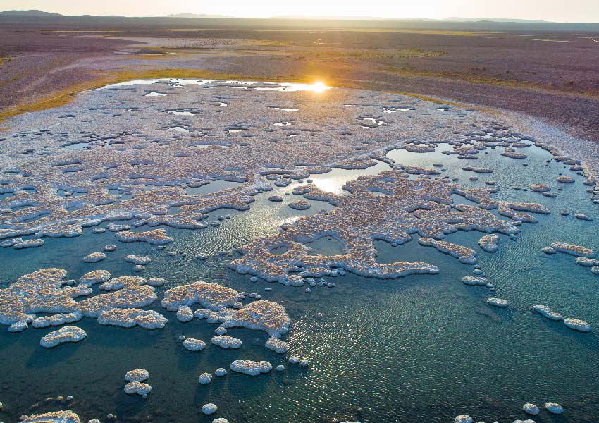 Salar de Llamará – Quillagua